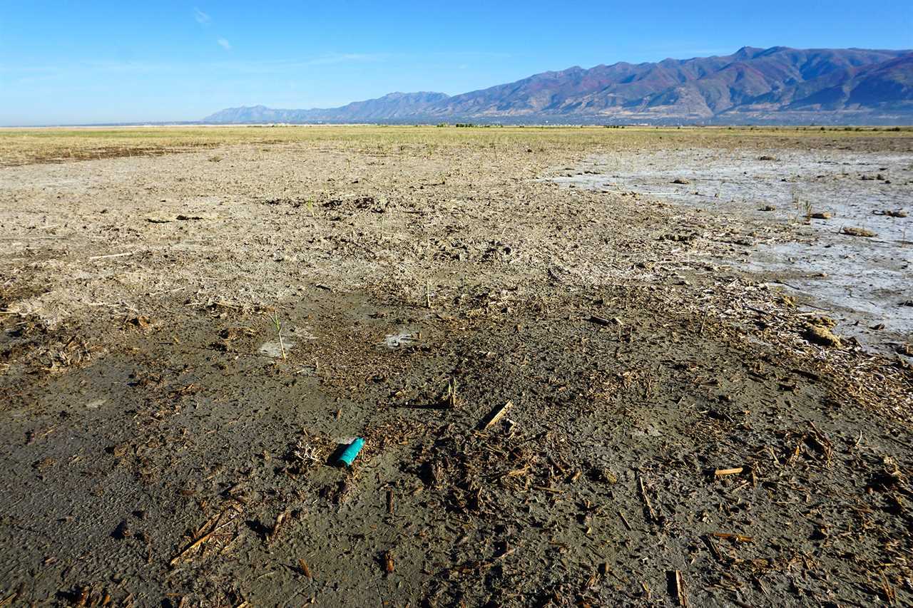 A spent shotgun hull in the bed of the great salt lake.