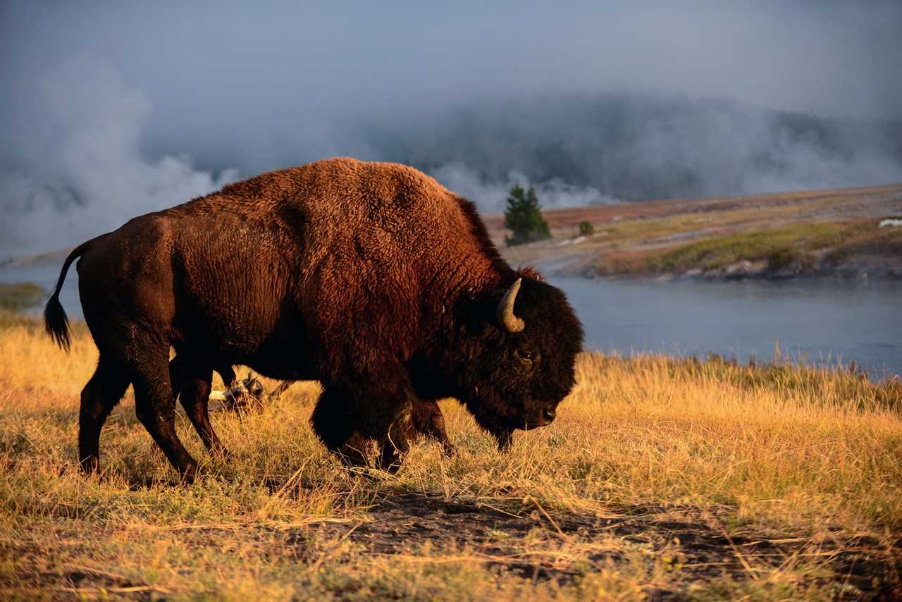 veterans get free access to federal public land