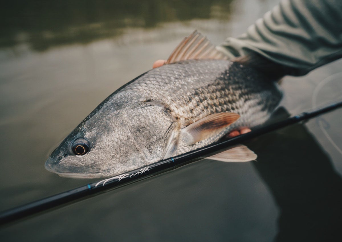 The Best Saltwater Fly Rods of 2022