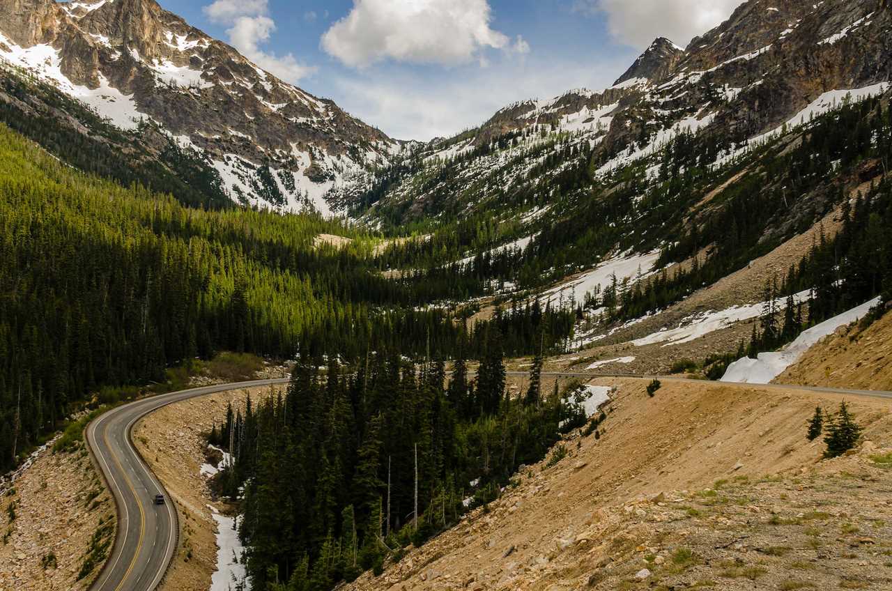 grizzly bear reintroduction washington state 3