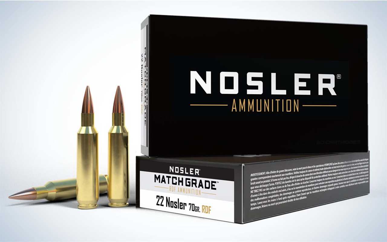 22Nosler