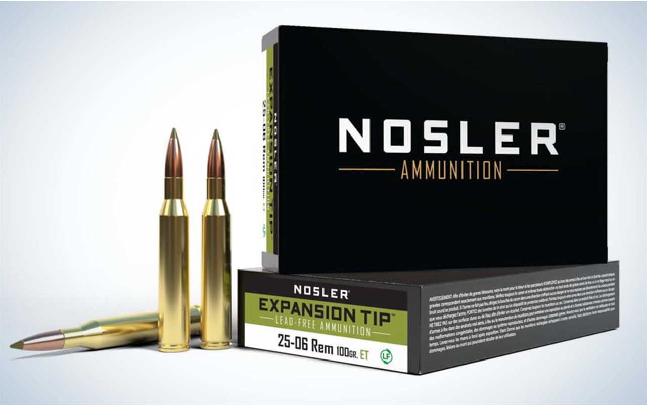 nosler-25-06