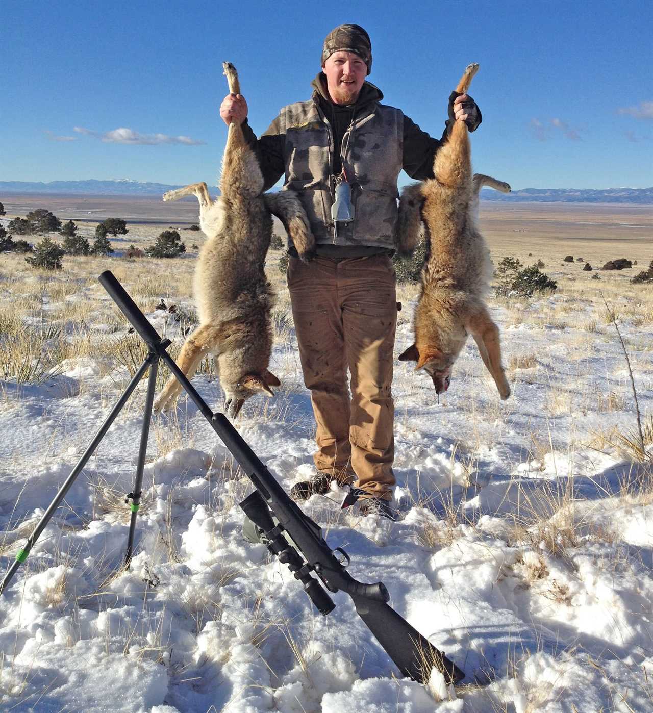 coyote hunting