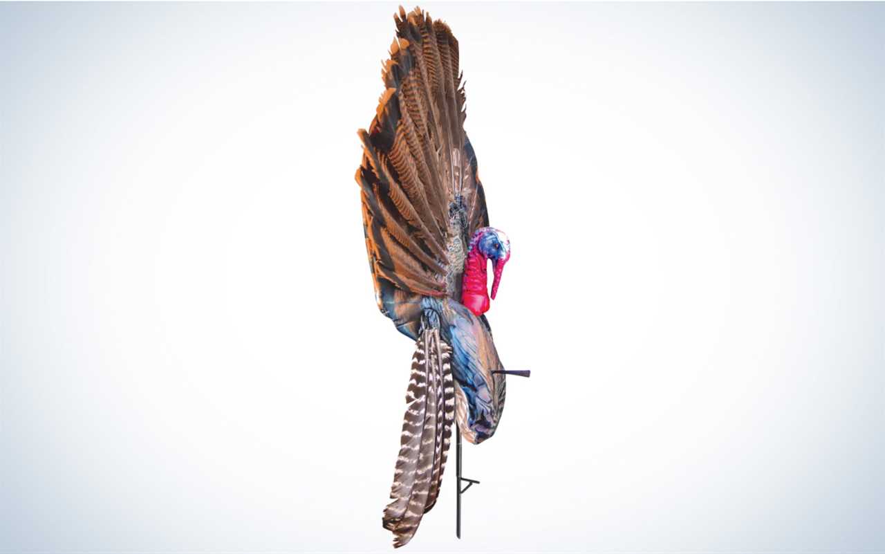 The Montana Decoy Wiley Tom 3D is one of the best decoys for turkey hunting.