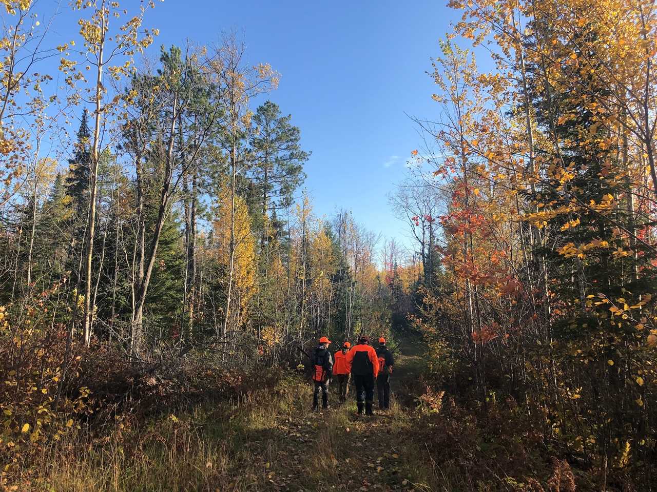 boundary waters receive greater protections under biden 2