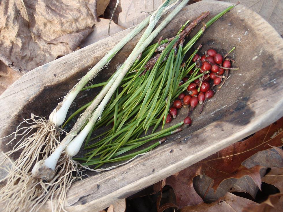 A wooden bowl of herbs, onions, and wild berries.