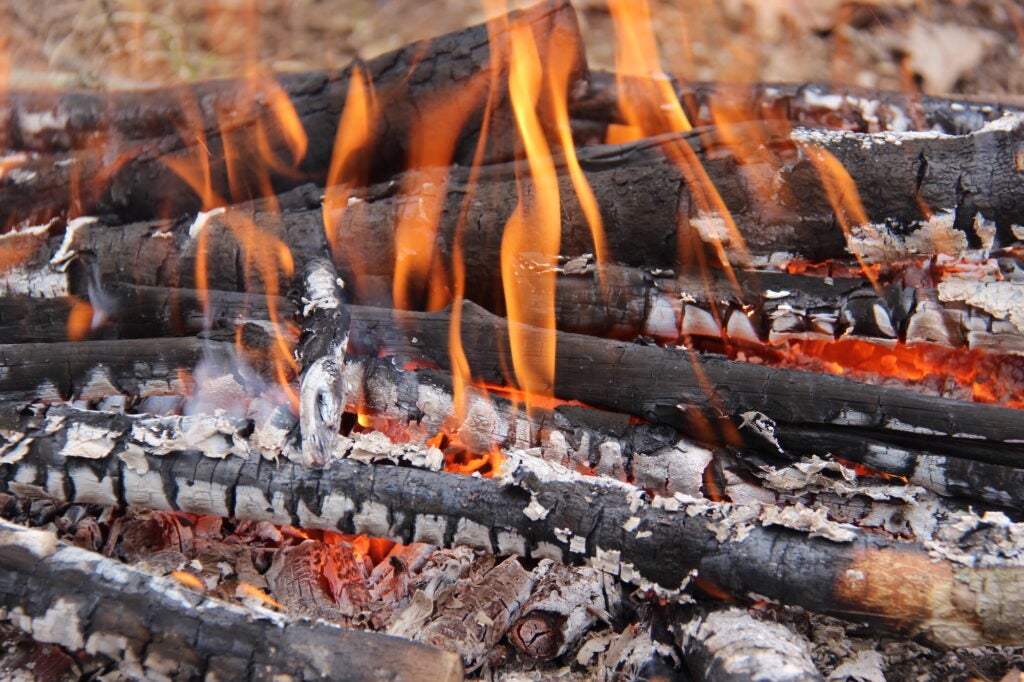 How to Start a Fire: The Ultimate Guide to Modern Fire Building