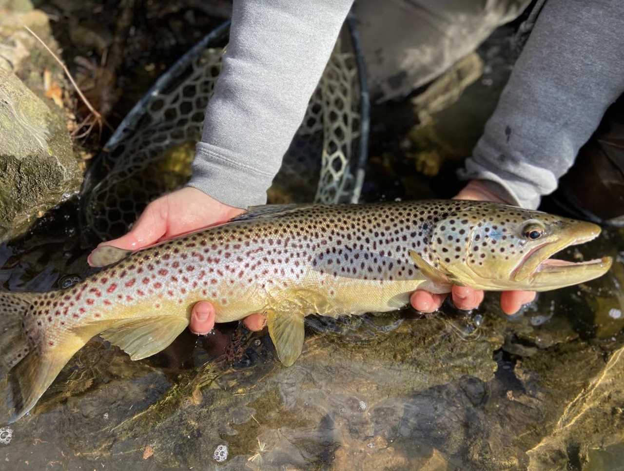 winter fishing