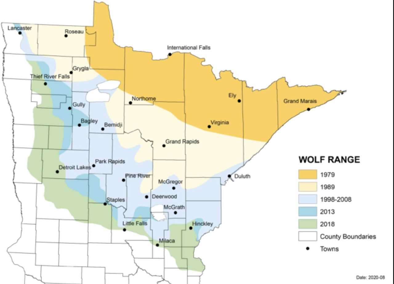 wolf range in minnesota