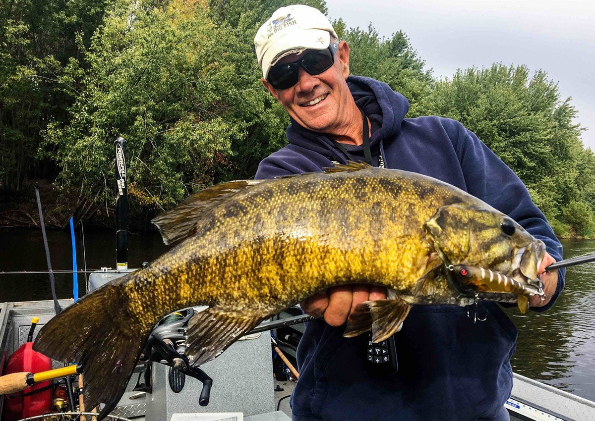 Man catches giant bass with one of the best bass lures.