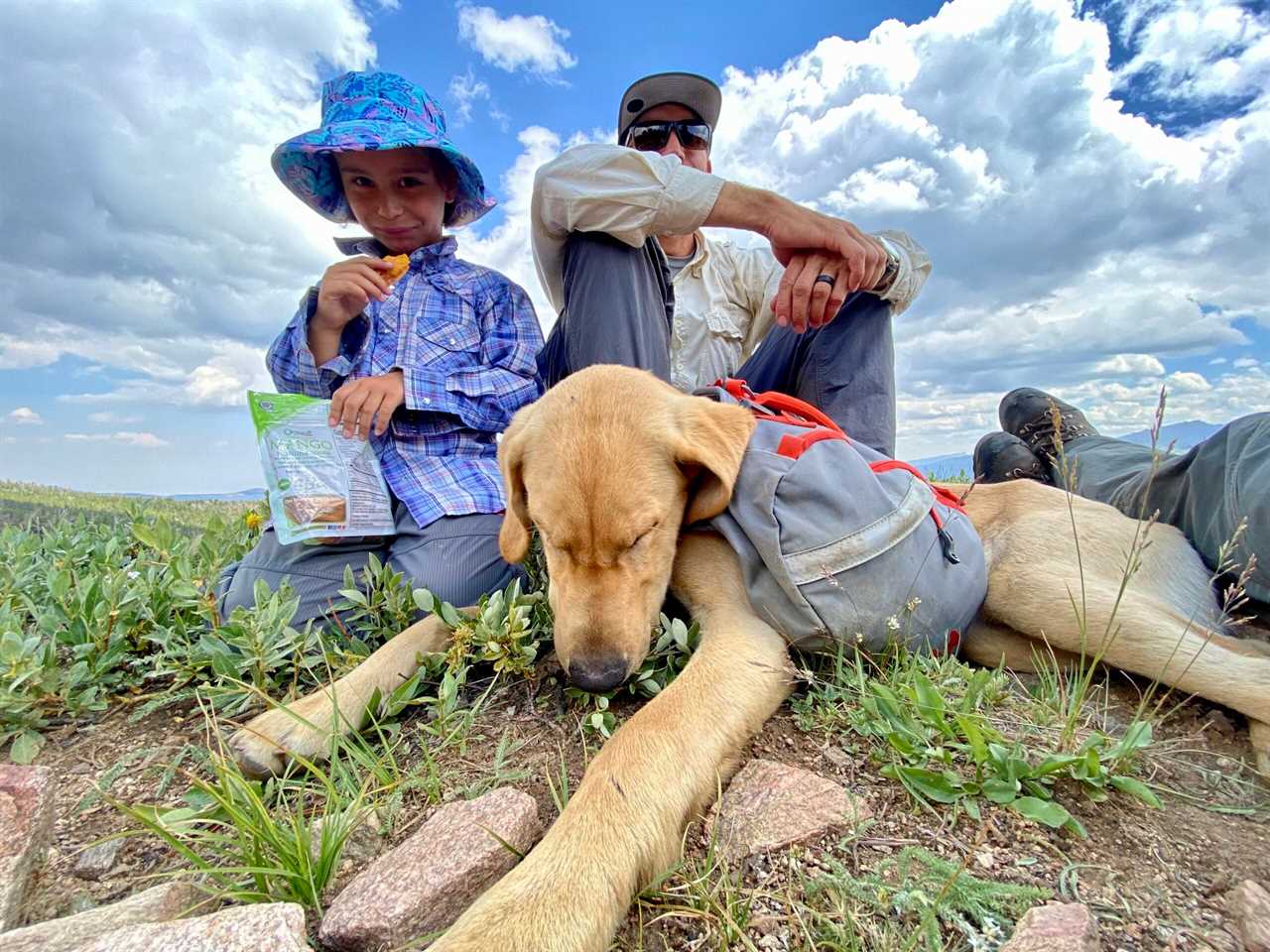 The Mountainsmith K9 Dog Pack is comfortable enough for an on-trail nap.