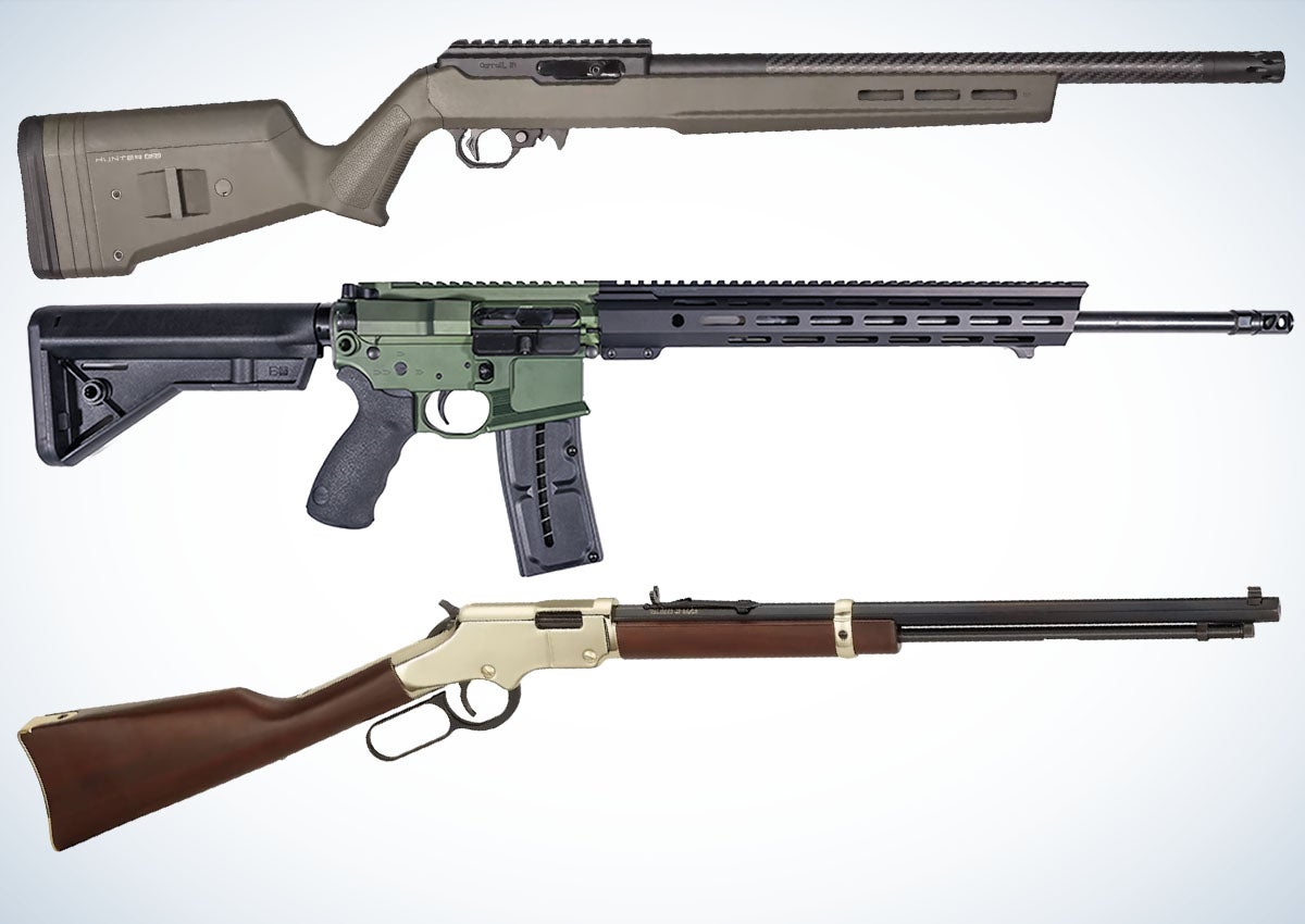 The best rimfire rifles serve a multitude of purposes.