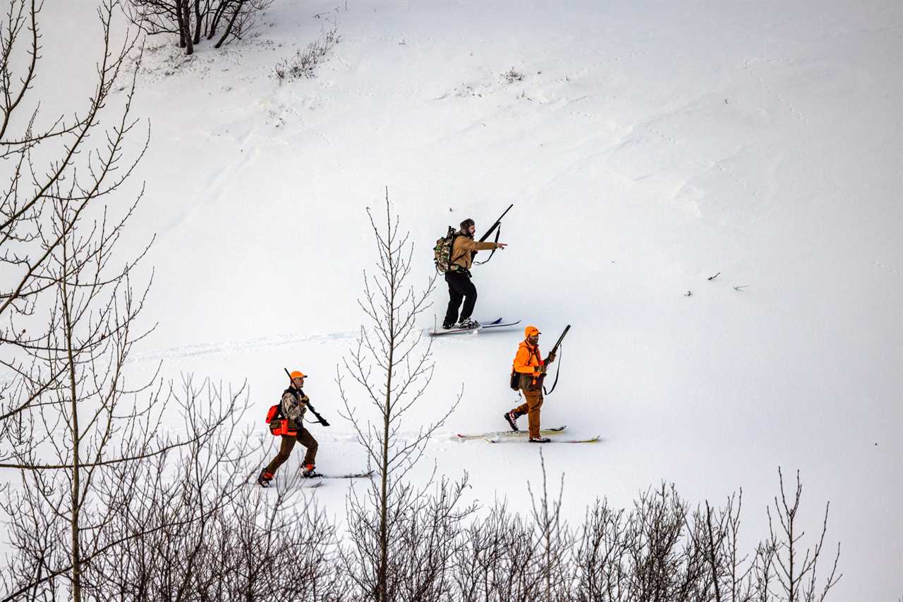 A hunter on skis points out a covey of ptarmigan.