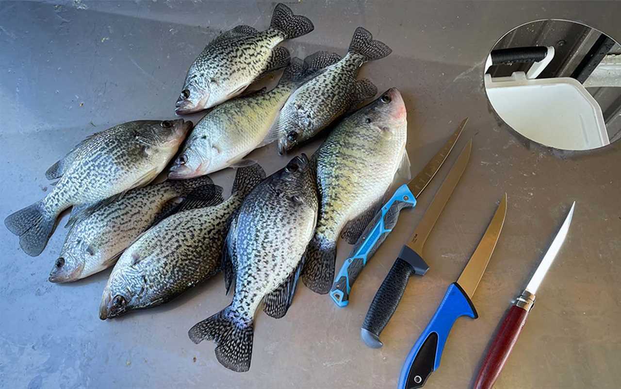 A pile of fish next to three of the best fillet knives