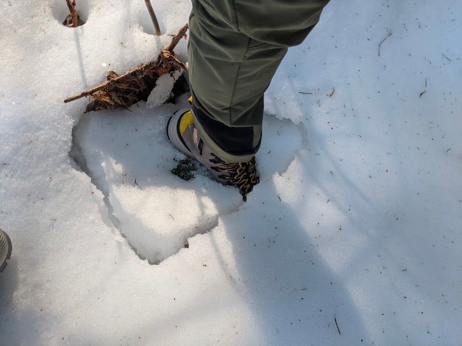 Best Winter Hiking Boots of 2023, Tested and Reviewed