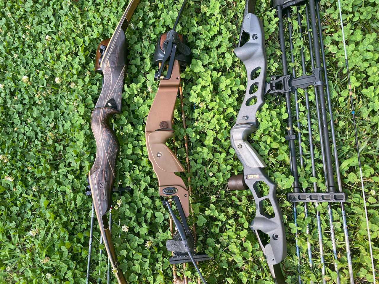 The Best Recurve Bows of 2023