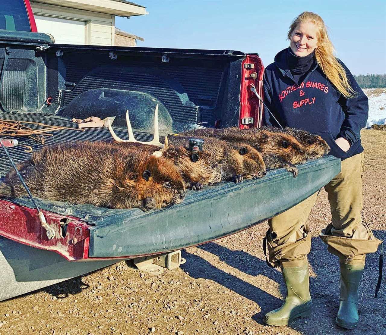 beaver trapping