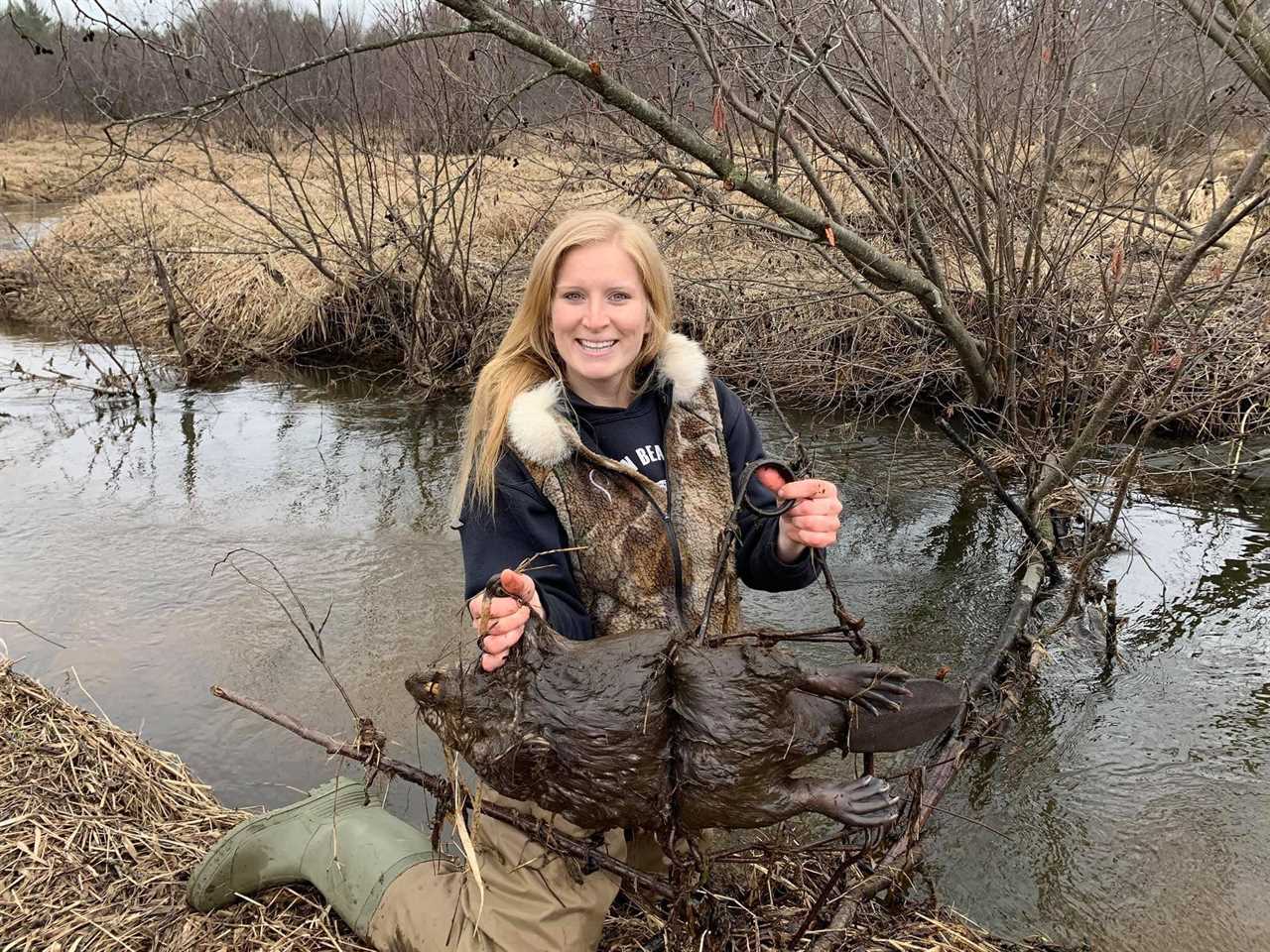 beaver trapping