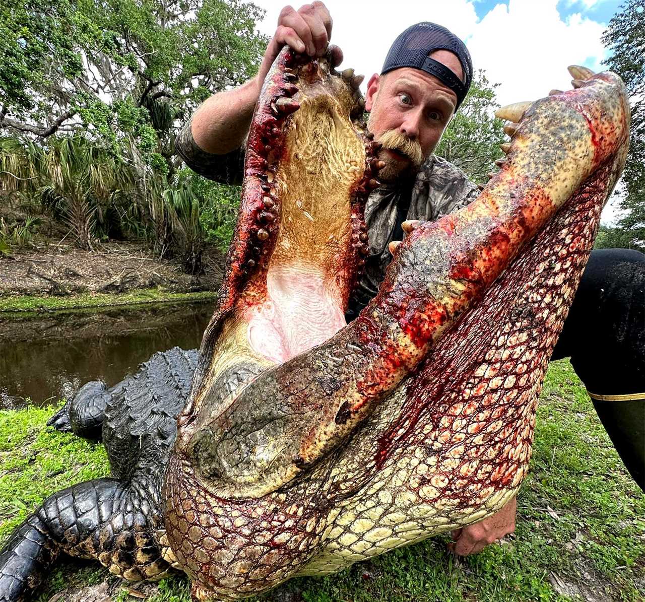 florida ranch alligator 2