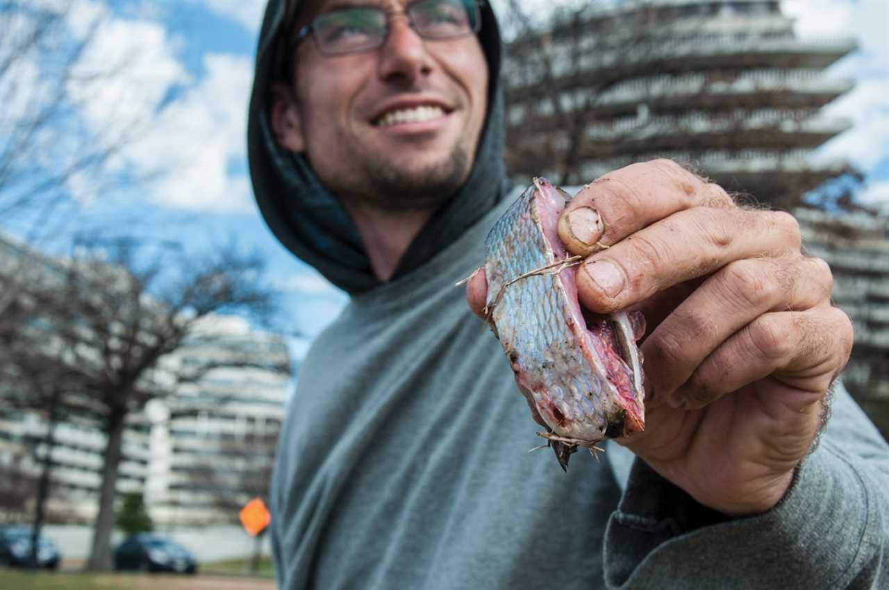 Fishing for Giant Blue Catfish in the Shadow of Capitol Hill