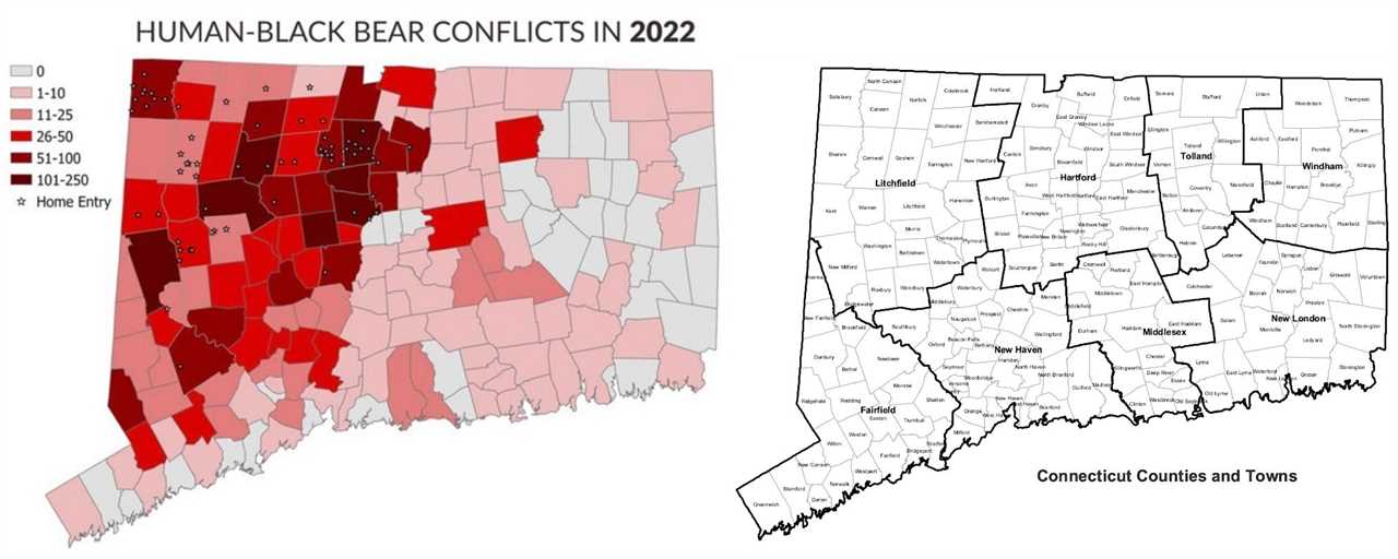 connecticut bear conflicts and county map