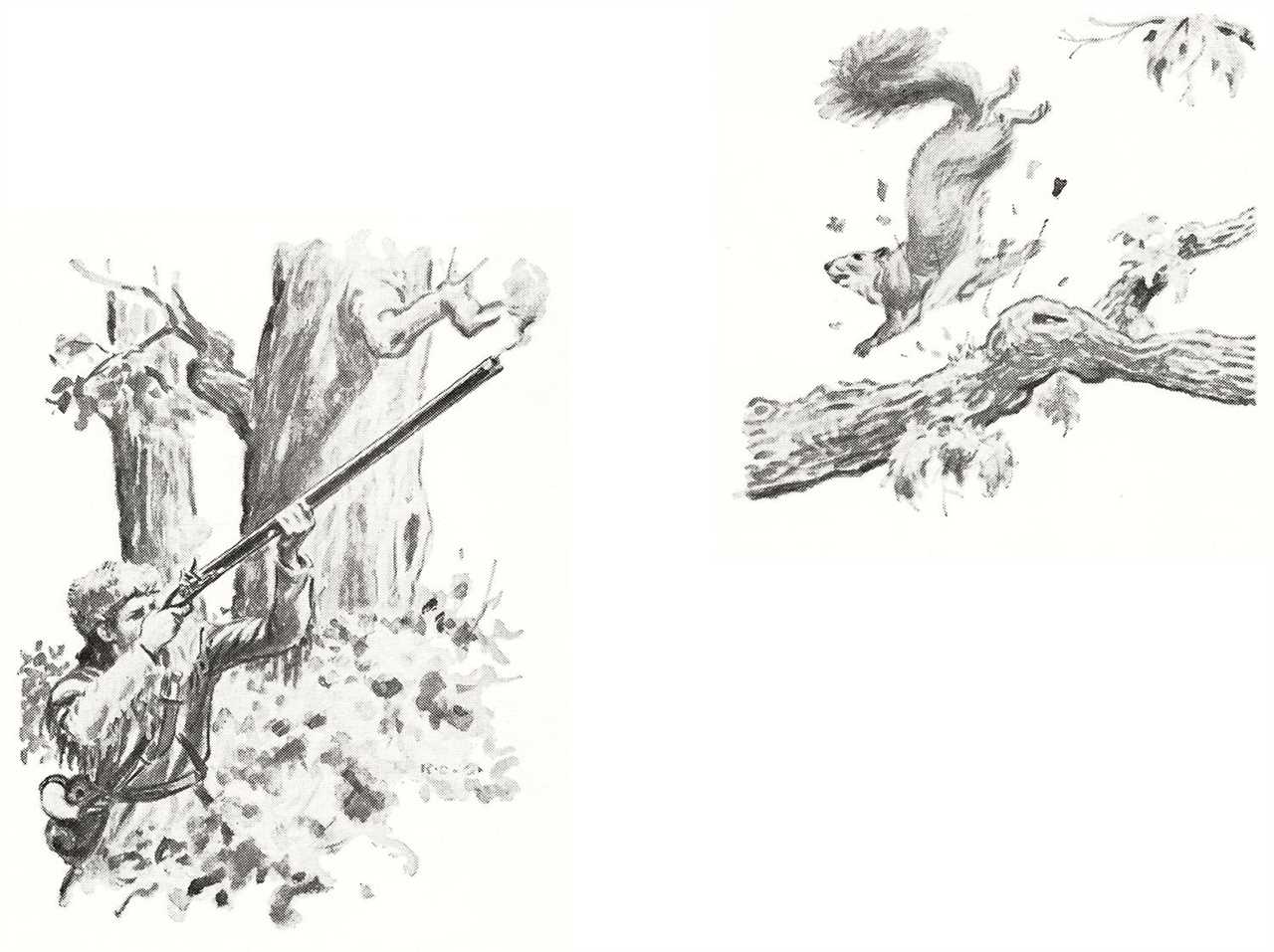 B&W illustrations of hunter shooting at squirrel on branch