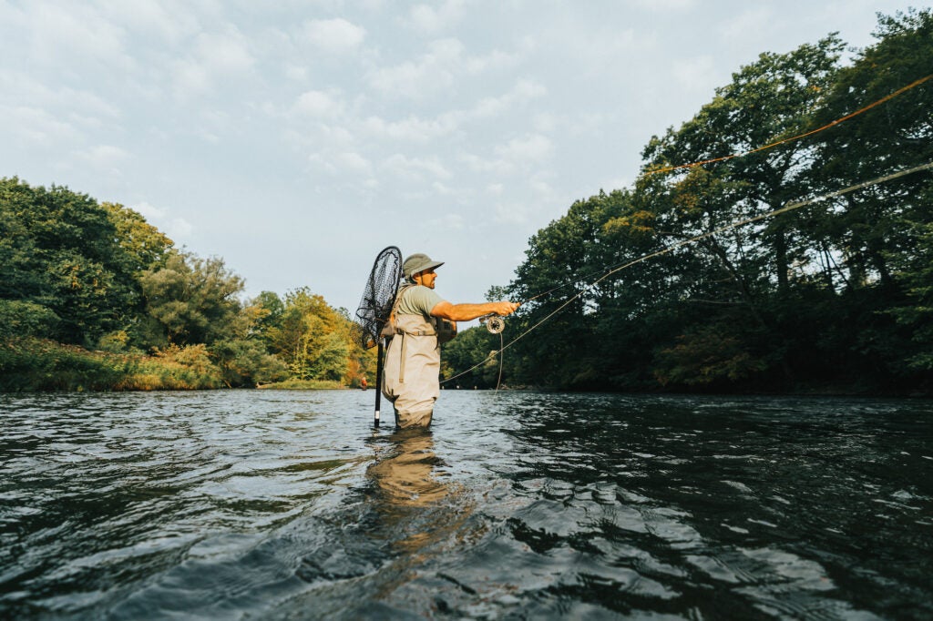 A man in a knee-deep river fly fishing