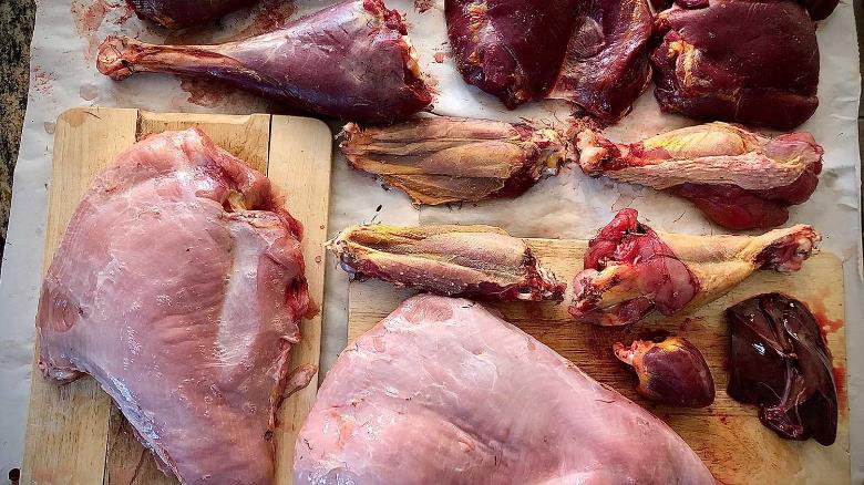 How to Butcher a Wild Turkey (and Get Every Last Cut of Meat)