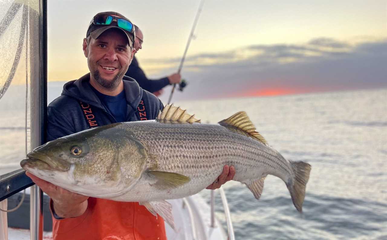 An angler holds a nice striper on the water.