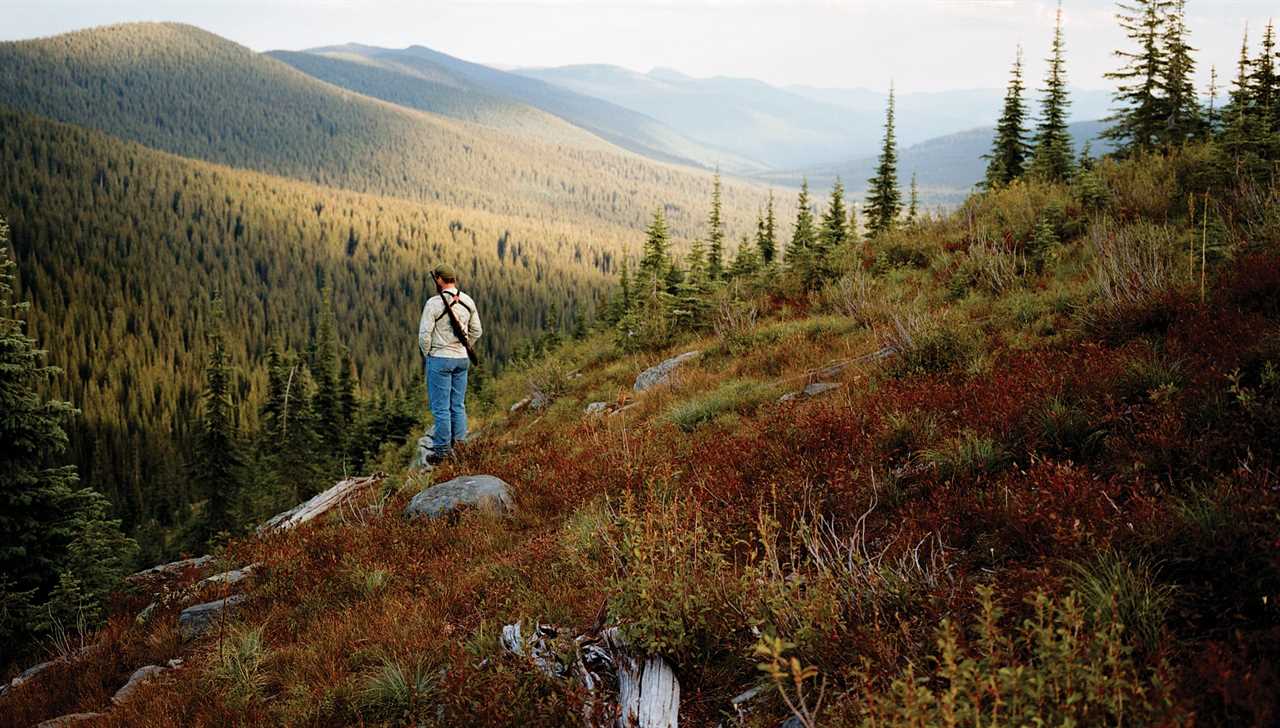 Hunter Ty Bell stands on a ridge in Idaho grizzly country.