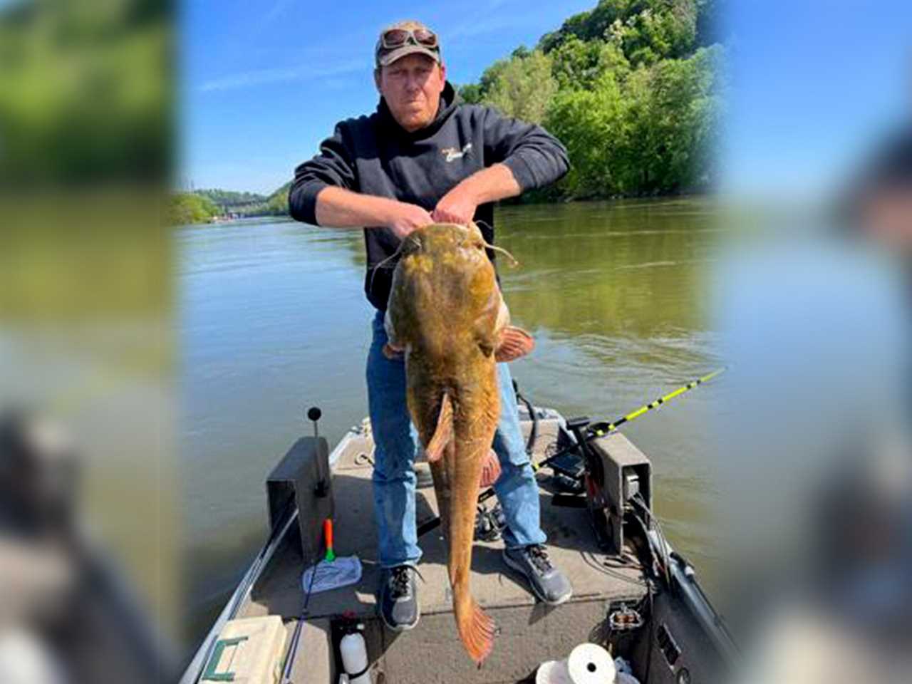 pennsylvania record flathead catfish