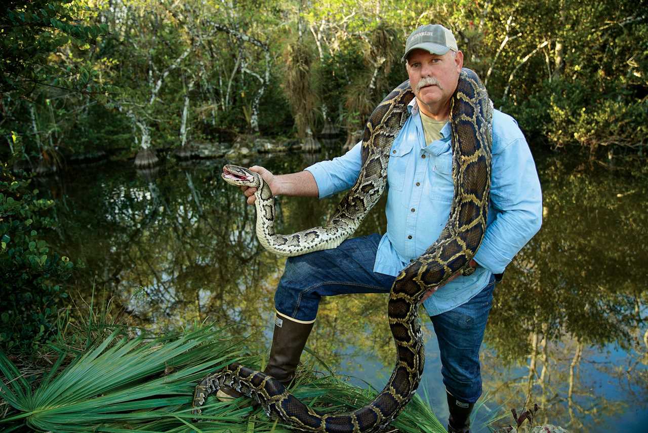 A hunter holds up a dead Burmese python in Florida.