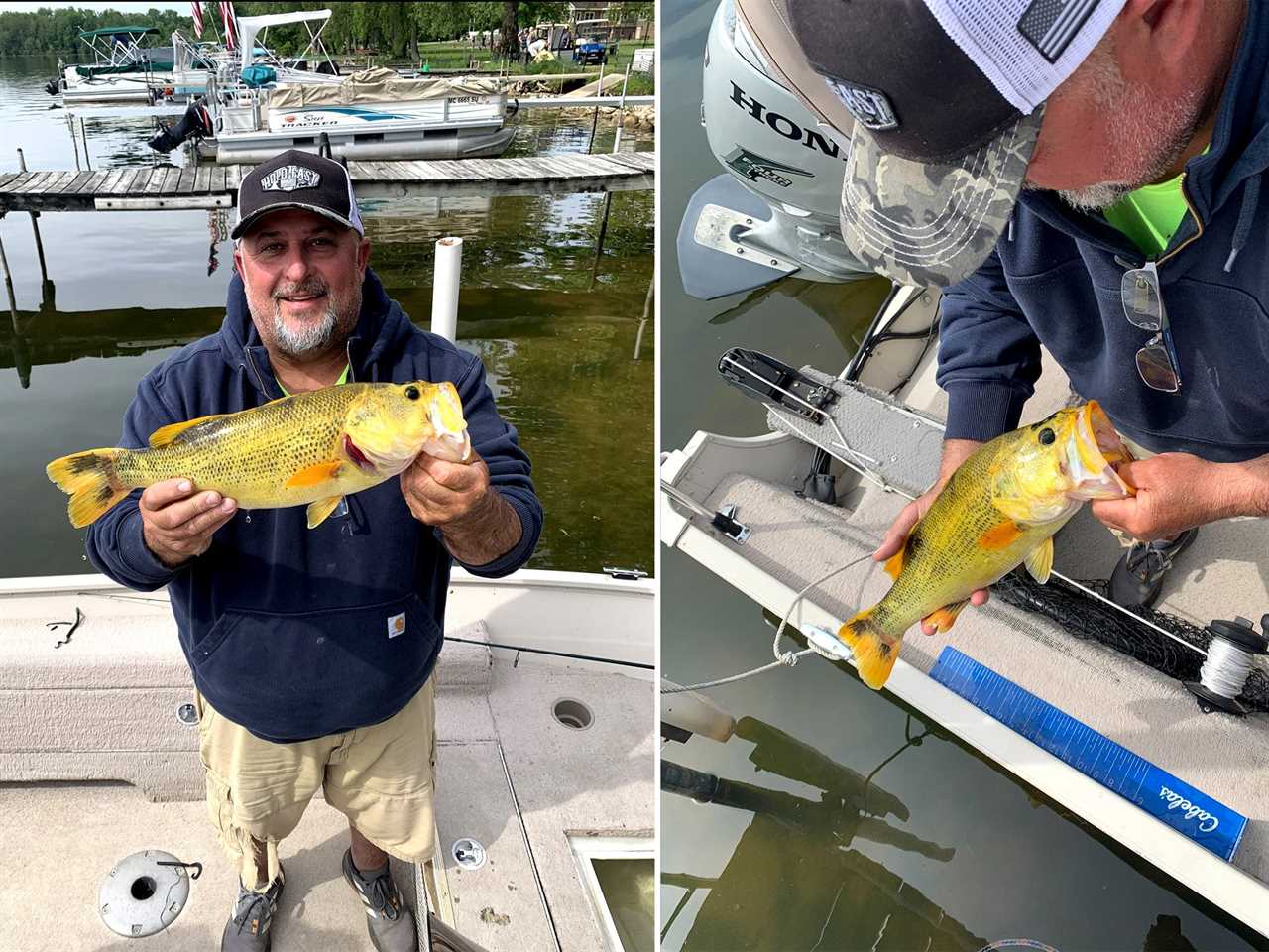 golden bass michigan lake