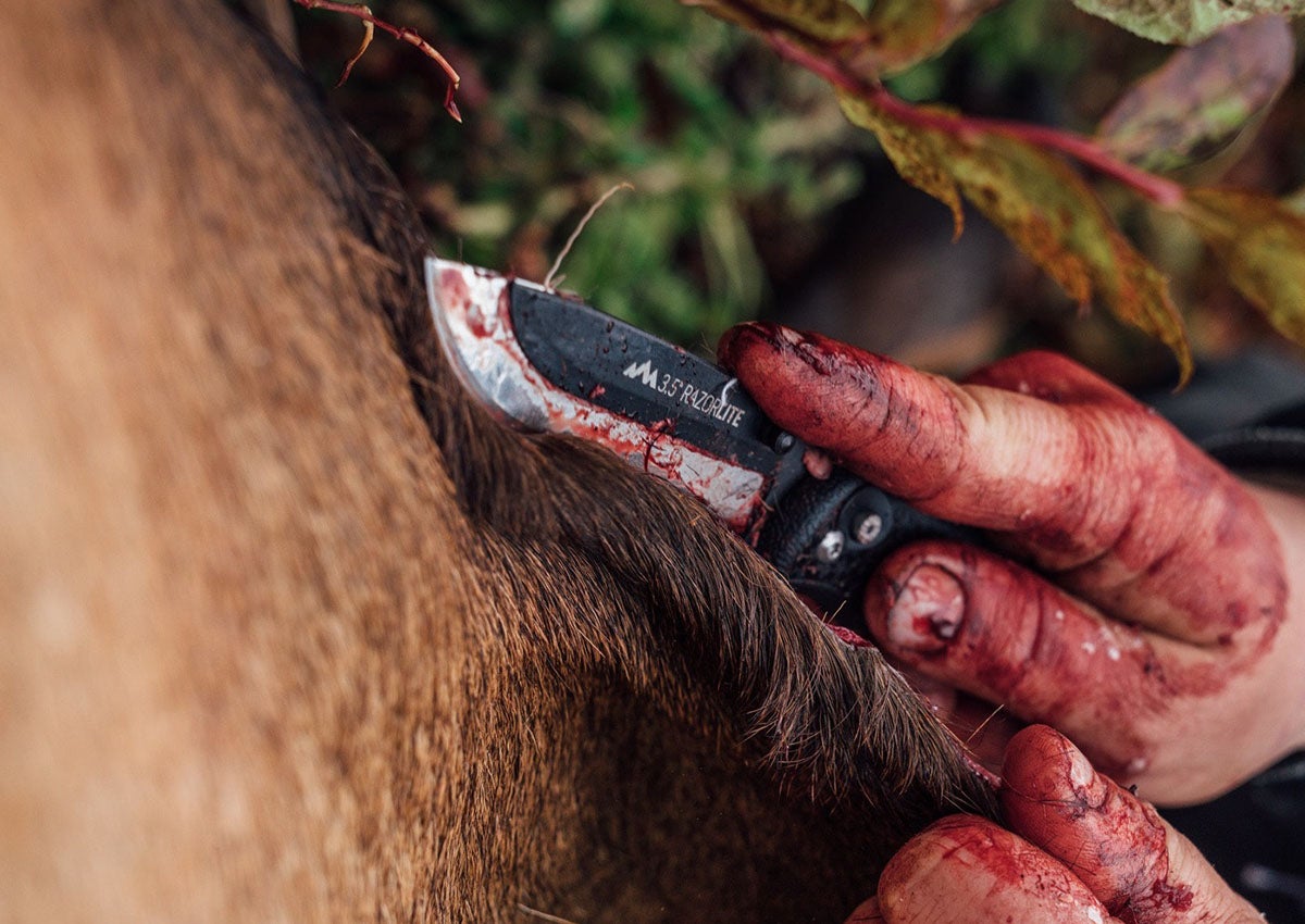 We tested the best knives for field dressing.