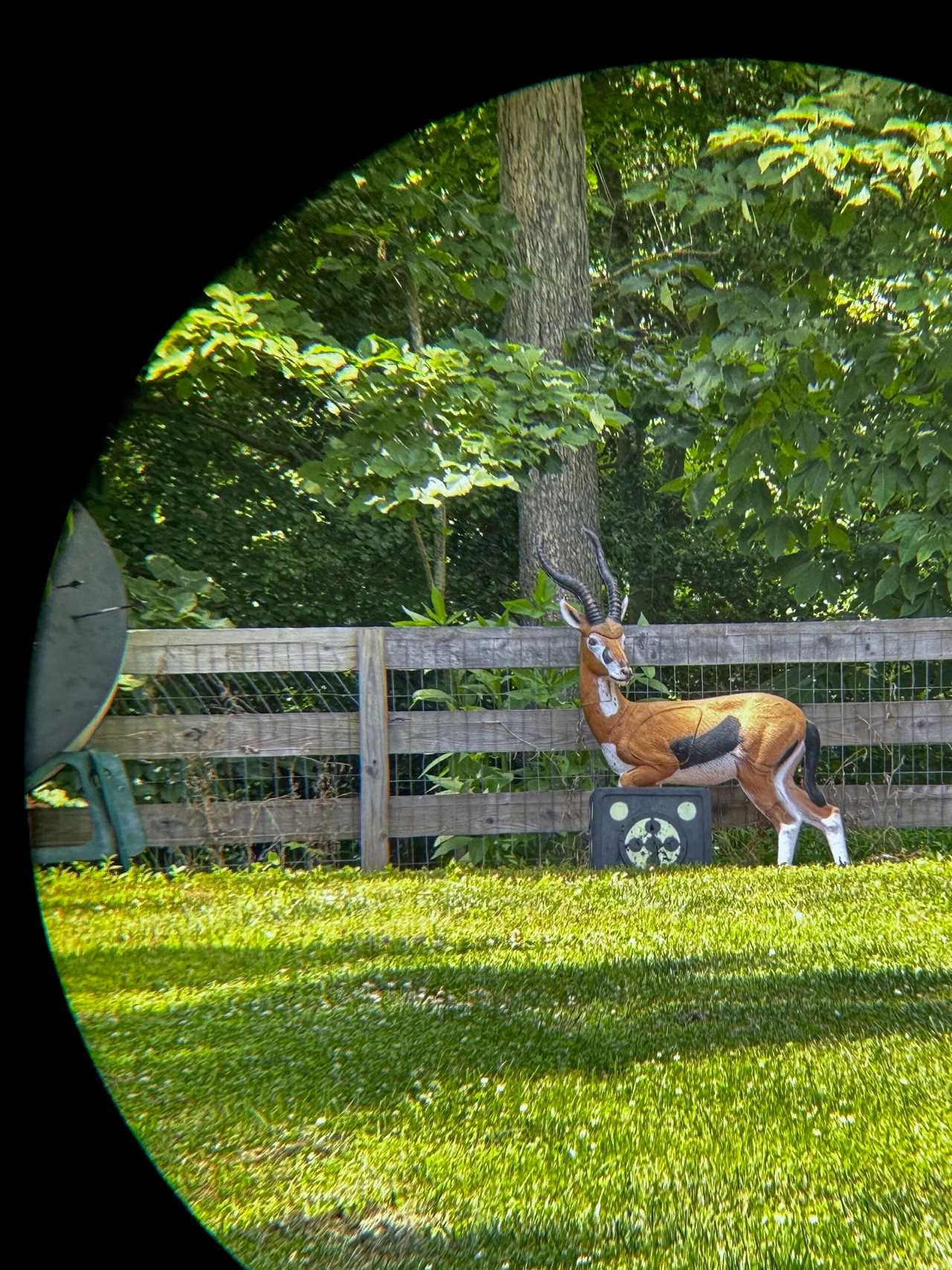 Binoculars photo