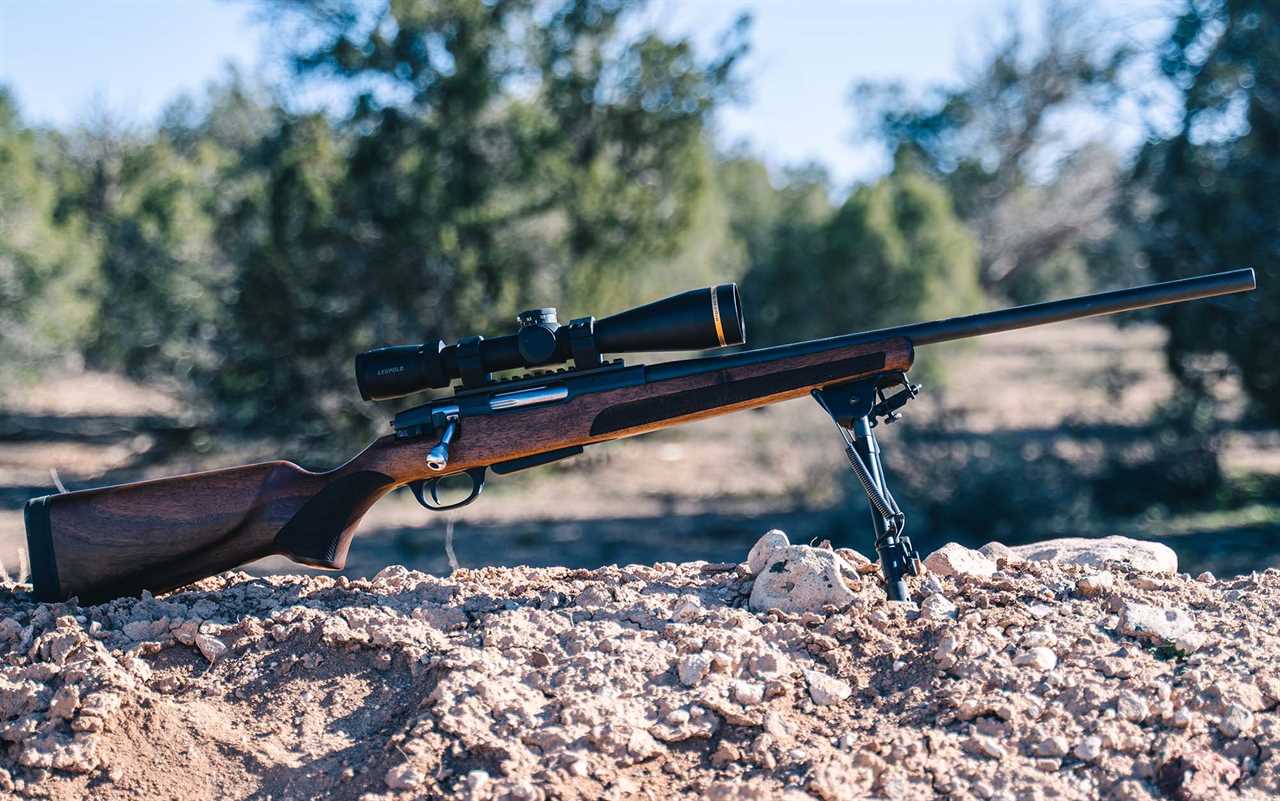 Hunting Rifles photo