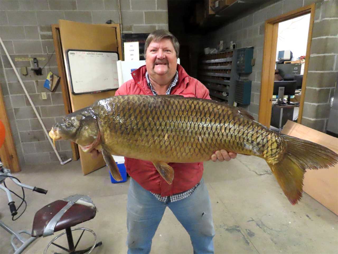 nebraska common carp record