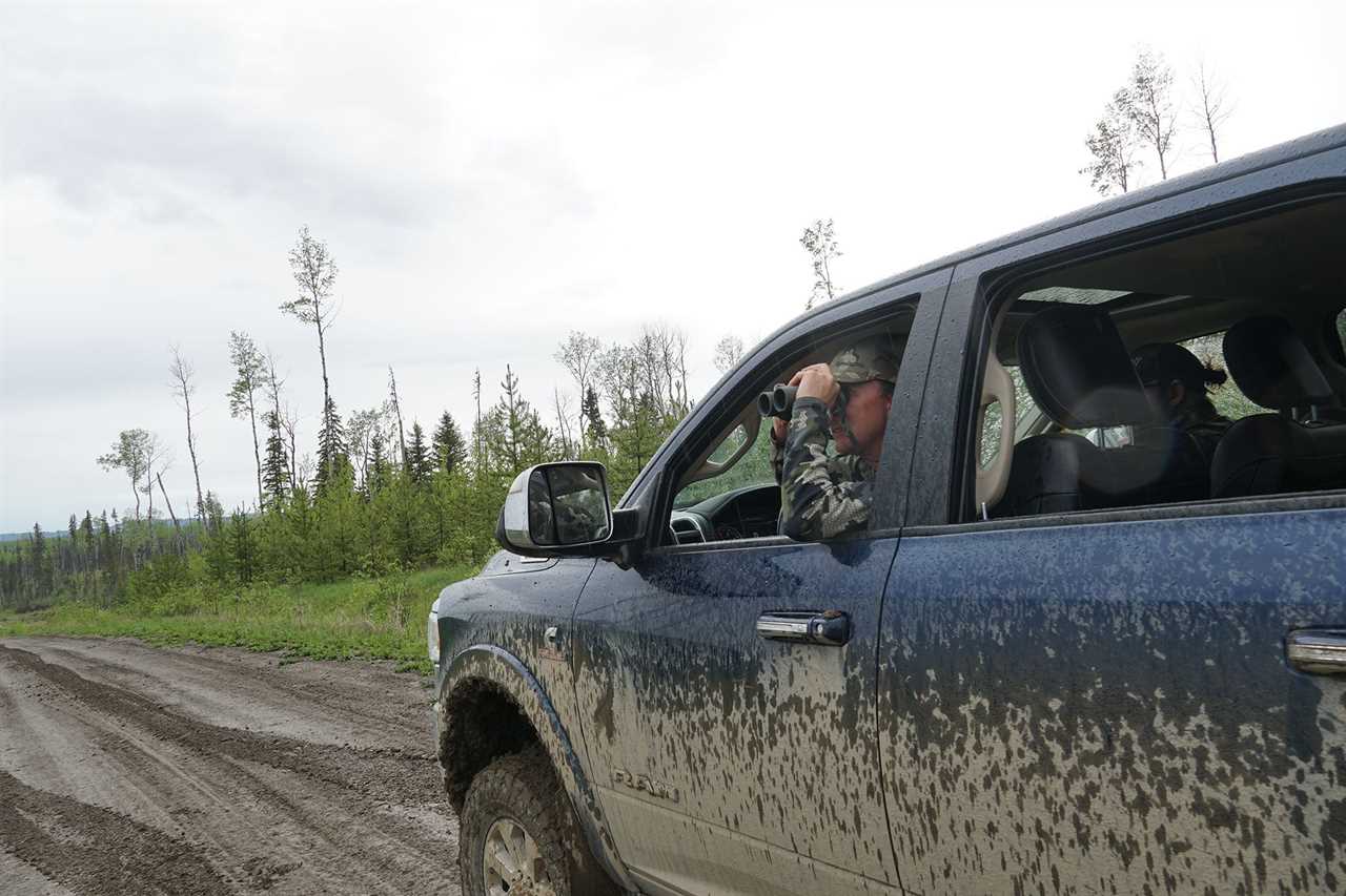 Black Bear Hunting photo