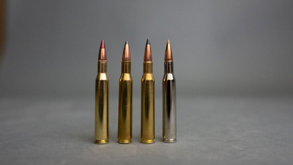 270 winchester ammo