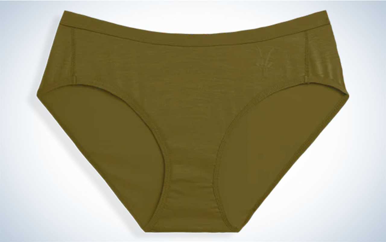 Ibex Womenâs Natural Brief are the best overall.