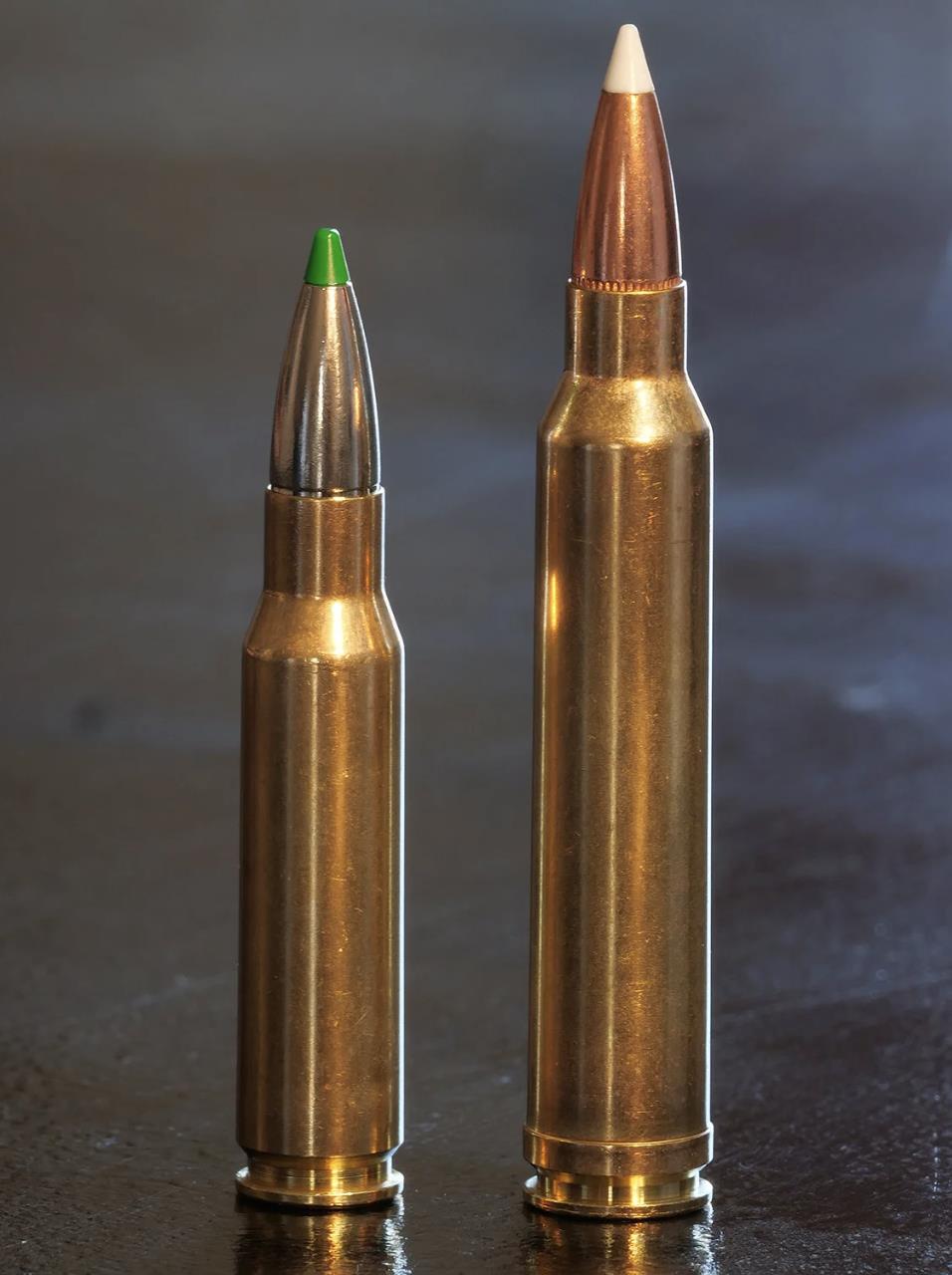 .300 win mag vs 308