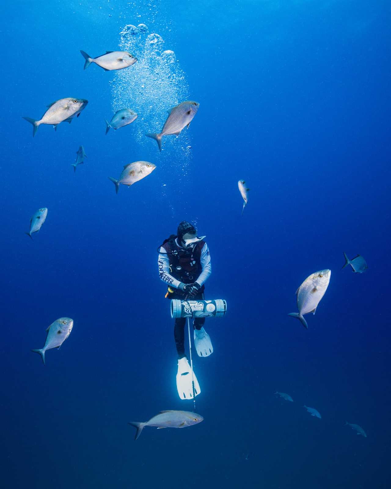 A lionfish spearfisherman swims to the surface.