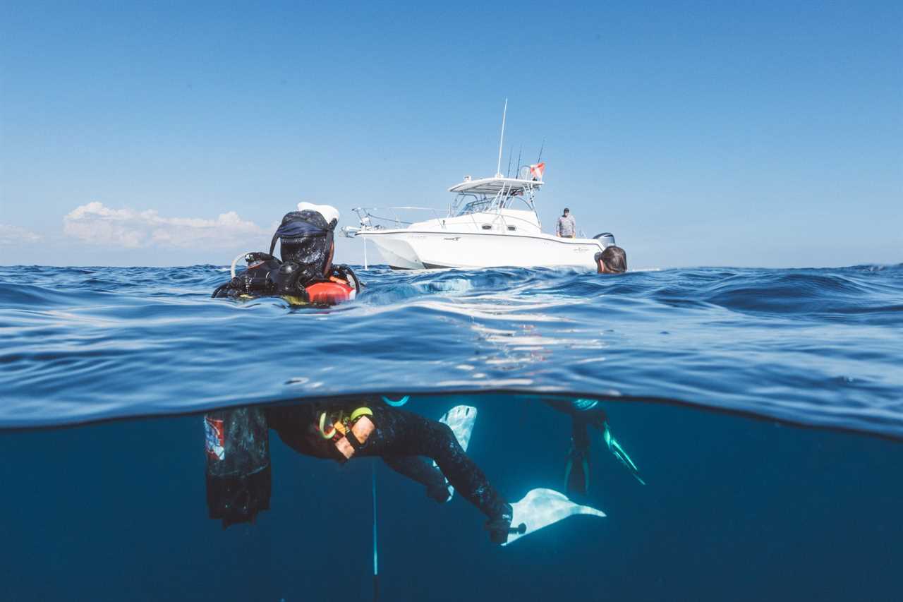 A diver surfaces after spearfishing.