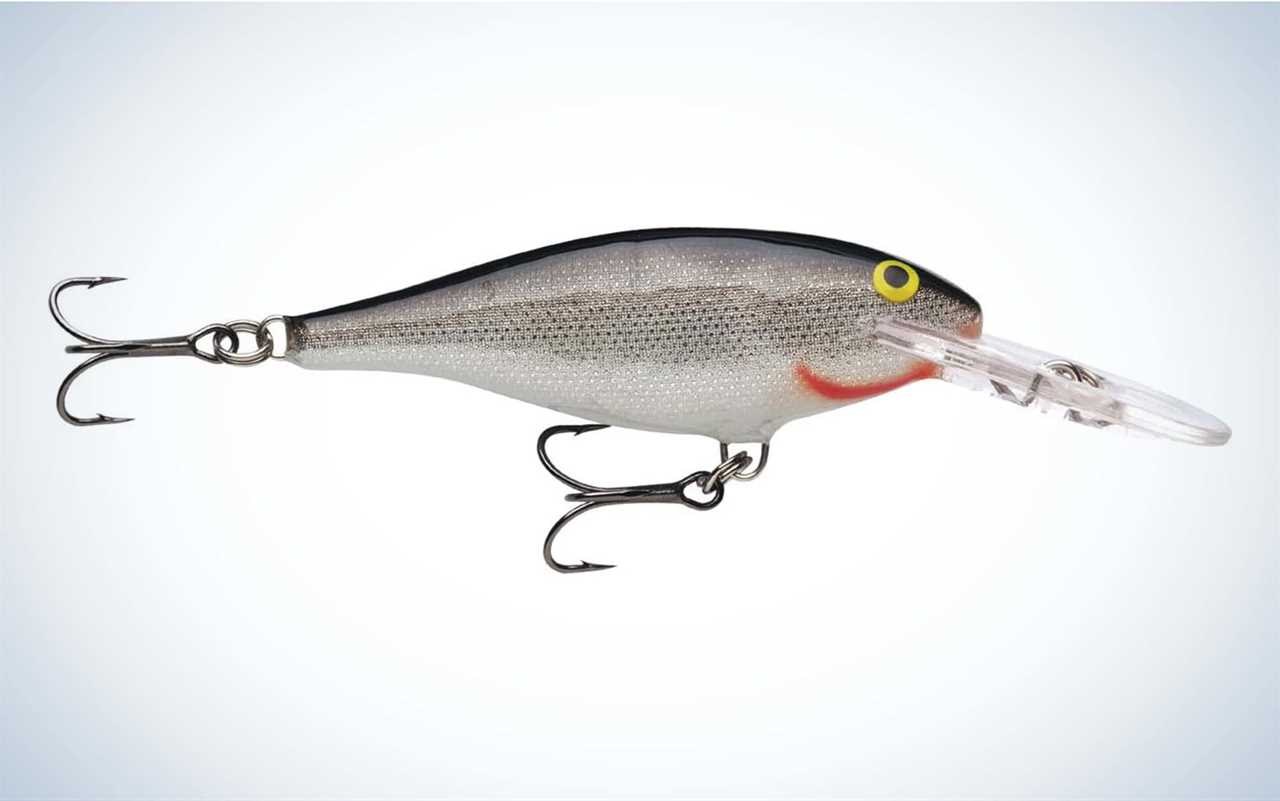 The Shad Rap is the best winter crankbait for bass