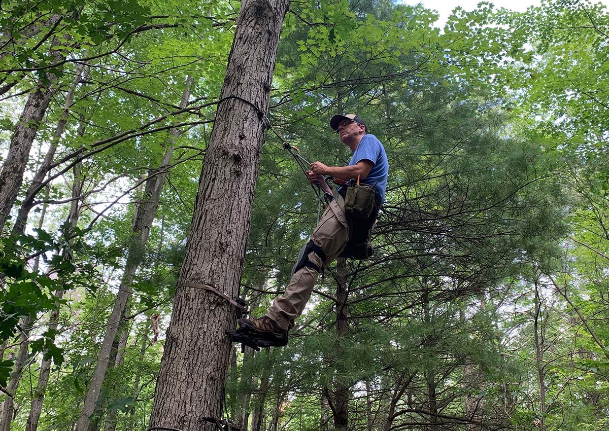 Author testing best tree saddles for hunting.