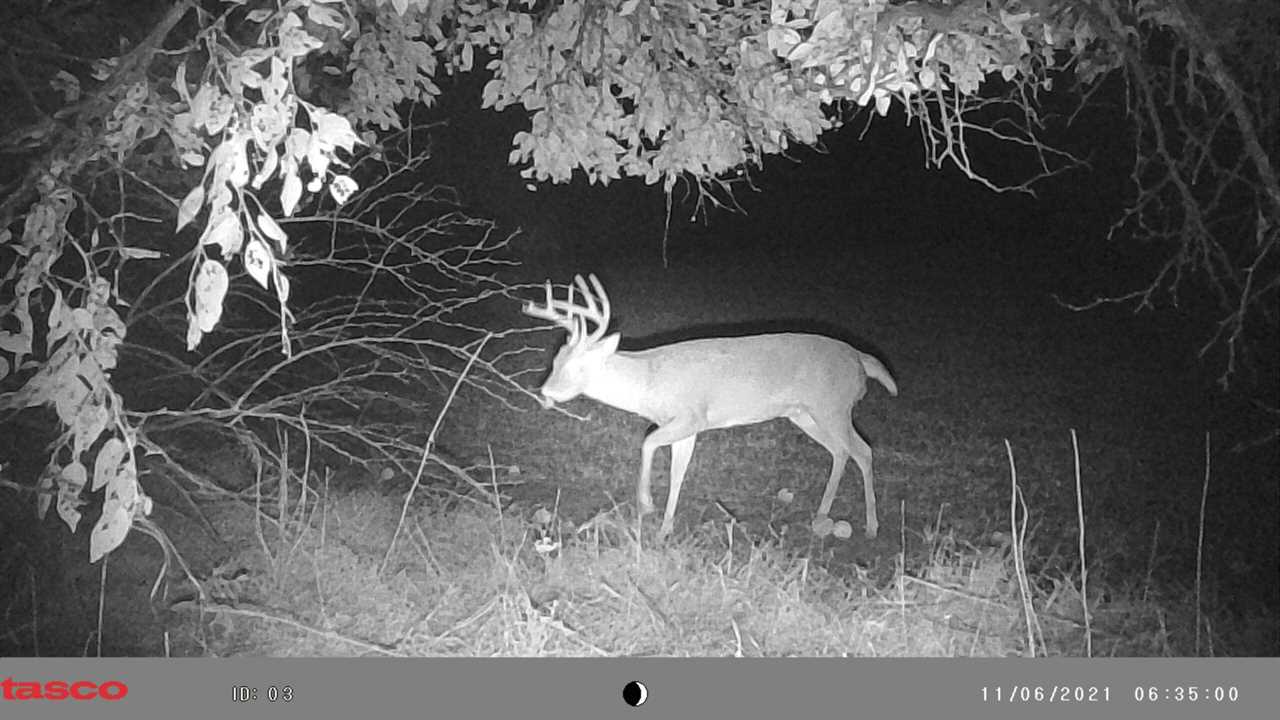 Deer Hunting Gear photo