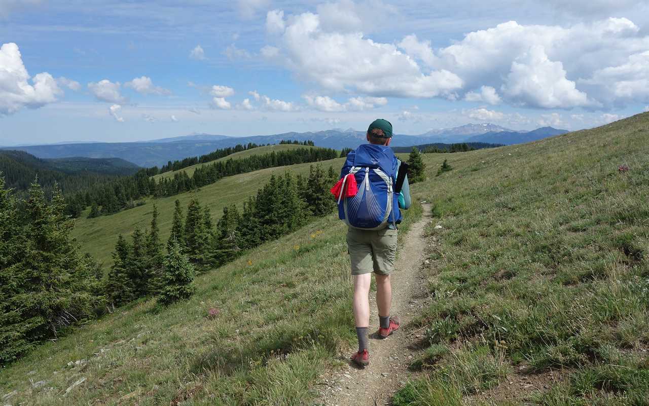 Man hiking on trail.