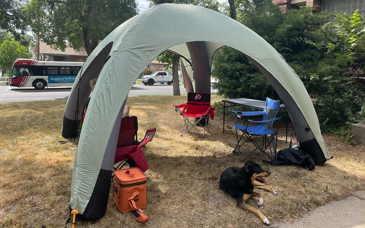 Canopy tent houses chairs, coolers, and a dog.