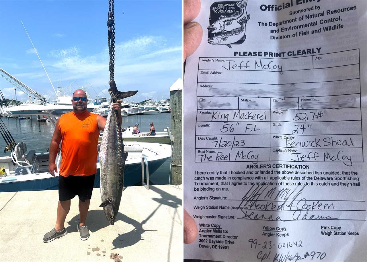 delaware kingfish record 2