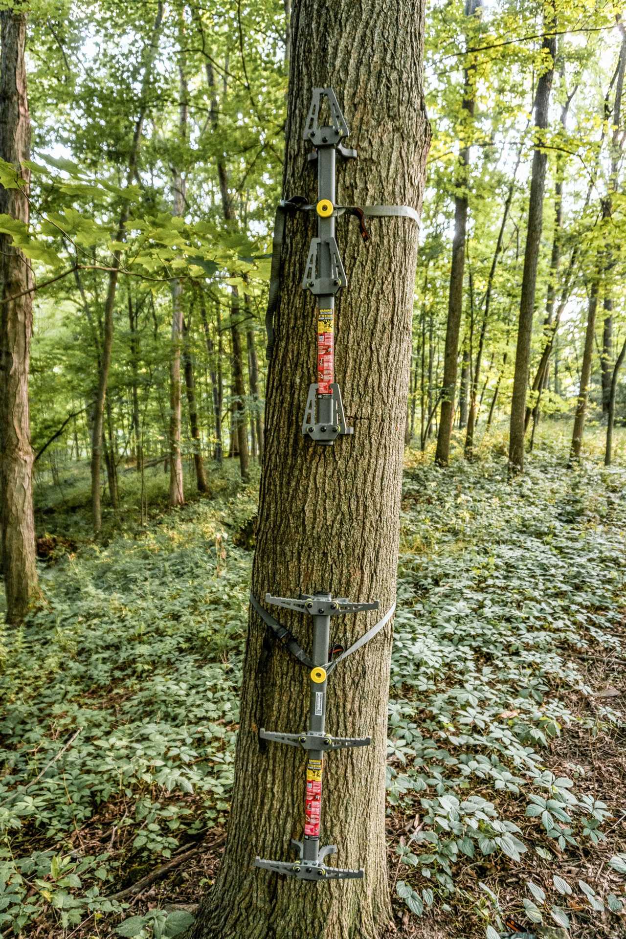 Backcountry Hunting Gear photo